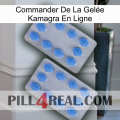 Commander De La Gelée Kamagra En Ligne 20